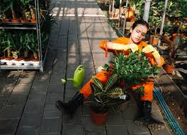 Tempat Tips Merawat Kota